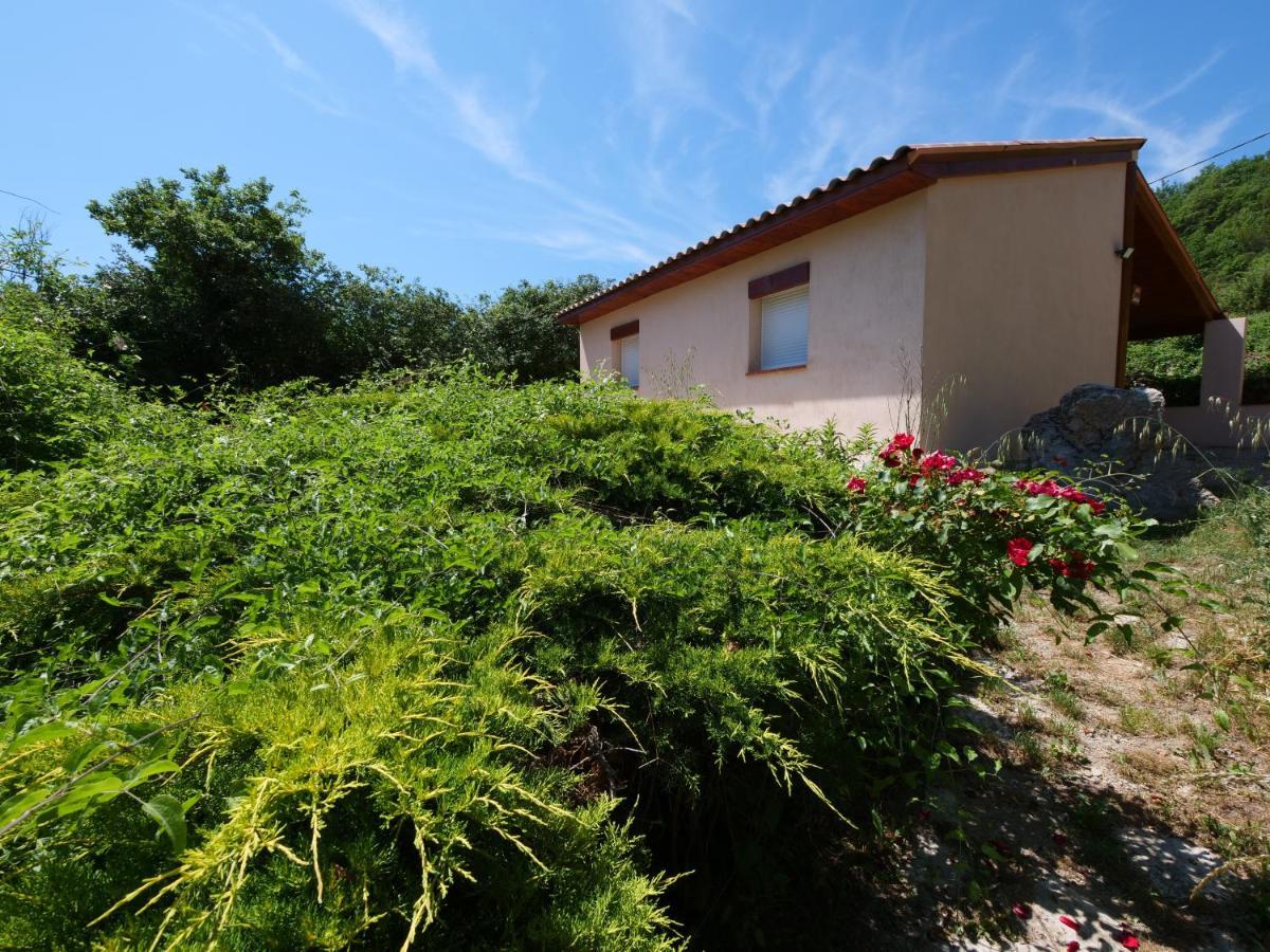 Villa Campagne Saint Maurinet Montmeyan Exterior foto